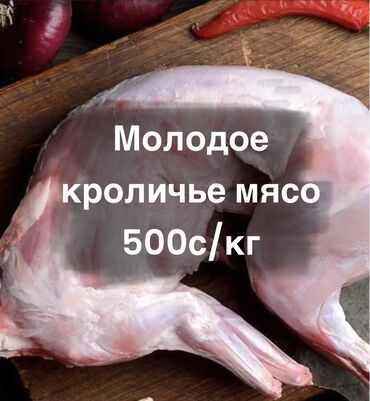 продам мясо кролика: Мясо кролика за килограмм Всегда свежее, не замороженное Мясо