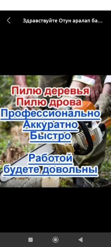 Спил деревьев, заготовка дров: Услуги распила деревьев и дров бензопилой. - Пилю деревья и дрова. -