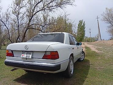 Mercedes-Benz W124: 1992 г., 2.3 л, Механика, Бензин, Седан