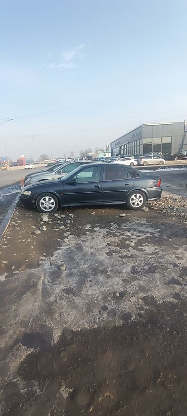 Opel: Opel Vectra: 2000 г., 1.6 л, Механика, Бензин, Седан