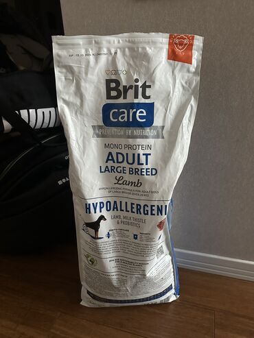 приют собак в баку: Корм для взрослых собак крупных пород Brit care hypoallergenic Böyük