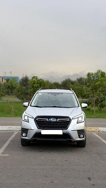 куплю форестер: Subaru Forester: 2022 г., 2.5 л, Вариатор, Бензин, Кроссовер — 5