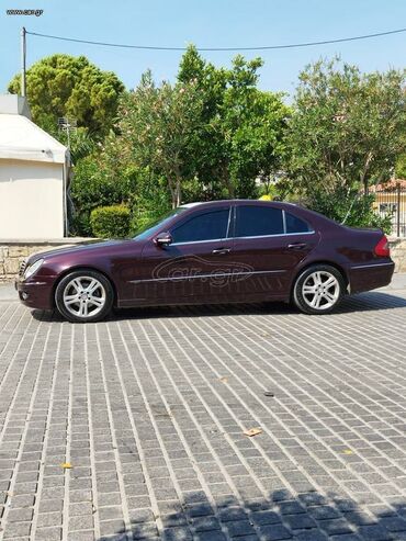 Mercedes-Benz: Mercedes-Benz E 220: 2.2 l. | 2008 έ. Λιμουζίνα — 5