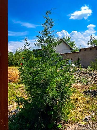Продажа складов и мастерских: Продается дом Село Кара Жыгач. совхоз Ала Тоо. чистый воздух, тихий — 20