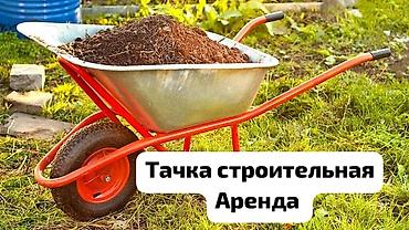 ташкент телешка: Строительная тачка аренда Строительная тачка прокат Аренда — 1