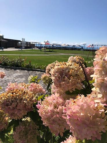 Иссык-Куль 2026: Квартира, квартира ЦО Карвен 4 сезона, Сары-Ой, Детская площадка, Парковка, стоянка, Охраняемая территория — 17