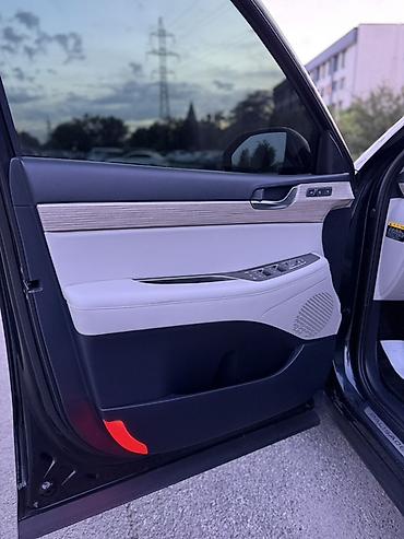 мишлен: Hyundai Palisade: 2019 г., 2.2 л, Автомат, Дизель, Кроссовер — 9