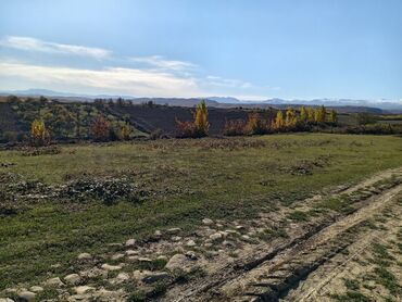 nardaran torpaq satılır: 8 sot, Tikinti, Barter mümkündür, Kupça (Çıxarış)