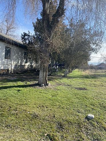 Аренда складов и мастерских: Просторная ограждённая территория под — 2