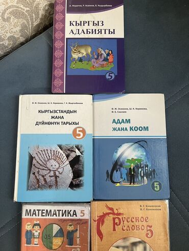 бир: Китептердин абалы жакшы . Кыргыз класс учун . Ар бири 200 сомдон