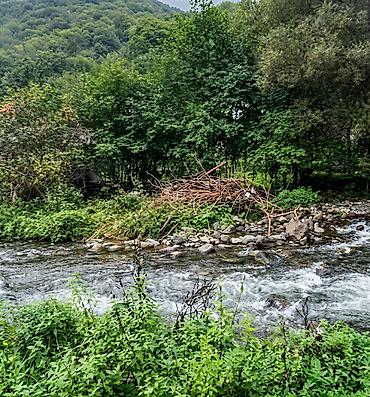nerd satışı: 3 sot, Tikinti, Mülkiyyətçi, Kupça (Çıxarış) — 1