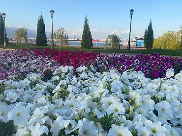 Иссык-Куль 2026: Коттедж, Сдается коттедж от собственника по хорошей цене !!! ЦО Радуга West, Кош-Кол, Детская площадка, Парковка, стоянка, Охраняемая территория — 24