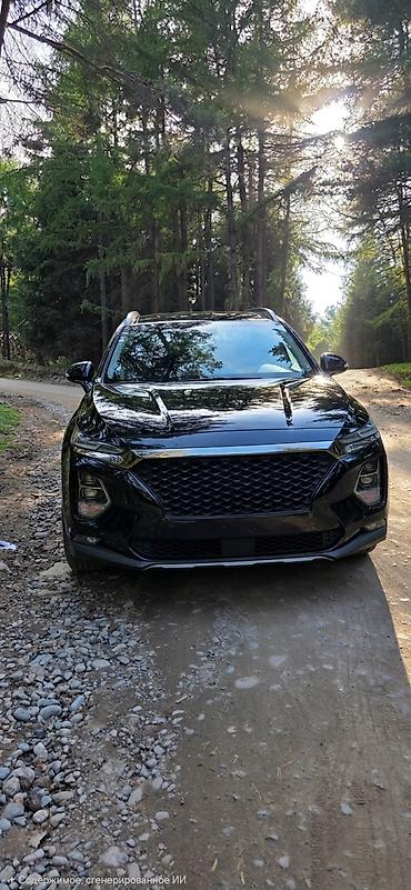 santa fe 2010: Hyundai Santa Fe: 2019 г., 2.2 л, Автомат, Дизель, Кроссовер — 2