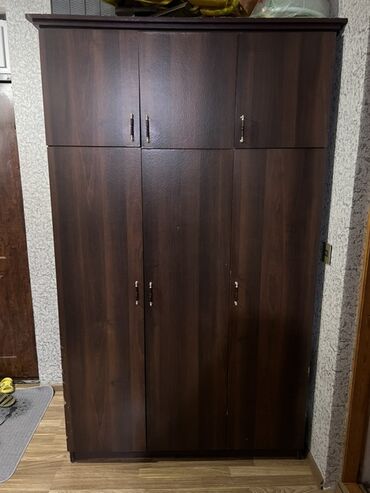 plasiq qapi: Açılan, 6 qapı Düz dolab, Qarderob, paltar dolabı