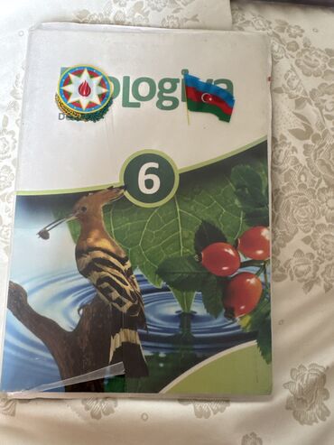 чехлы на редми нот 8 про бишкек: Köhne 6cı sinif kitabi üzerinde notlar var 4cü qruplar üçün önemli