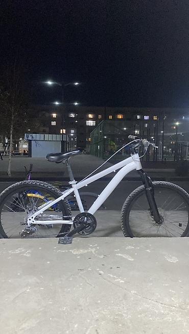 gray fixed gear: Горный велосипед 24" - Рама: метвл геометрия с заниженной верхней — 2