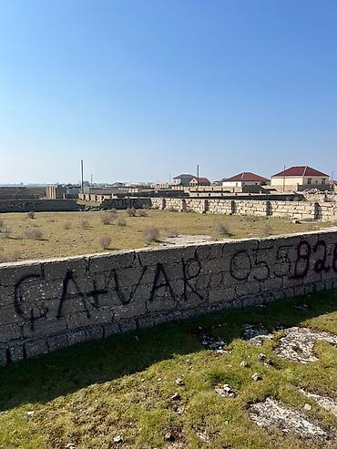 Torpaq: 5 sot, Tikinti, Mülkiyyətçi, Kupça (Çıxarış) — 3