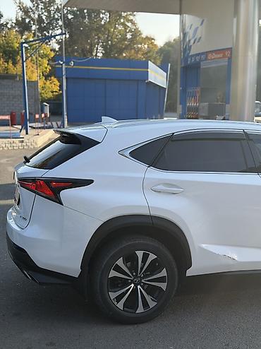 ford rapter: Lexus NX: 2019 г., 2 л, Автомат, Бензин, Кроссовер — 5