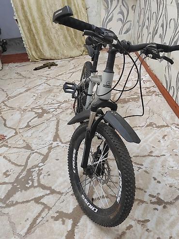 volta vsm: Uşaq/yeniyetmə dağ velosipedi – CROSS - Çərçivə: yüngül alaşımlı, 20 — 1