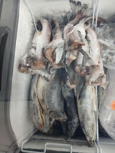 Рыба и морепродукты: Свежий — 21