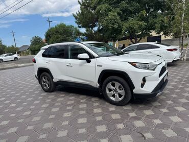 шины и диска: Toyota RAV4: 2019 г., 2.5 л, Автомат, Гибрид, Кроссовер