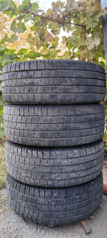 шины на рх: Шиналар 205 / 55 / R 16, Кыш, Комплект, Жеңил унаалар, Pirelli