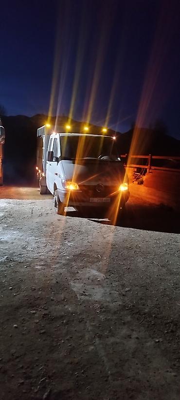 лампа керосиновая: Легкий грузовик, Mercedes-Benz, Дубль, Б/у — 7