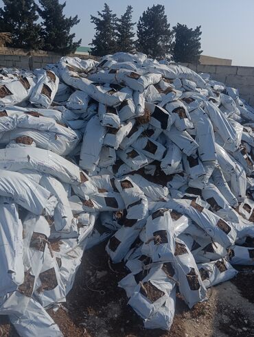 Torf: Torf gubresi butun gubreler var catrlma sayina gorə 100 den yuxari — 18