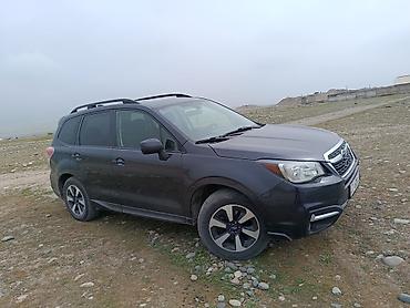 mini cupper: Subaru Forester: 2017 г., Кроссовер — 3