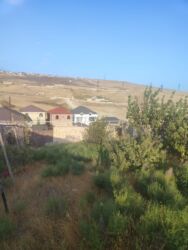 Bağ və bostan üçün digər məhsullar: Qobuda arkodan 1km metir məsafədə asvaltdan 20 metir içəridir 8 — 4