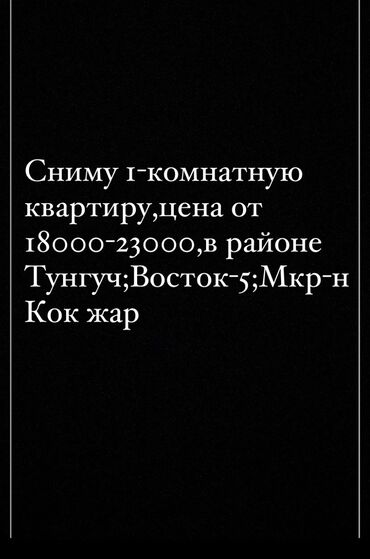 Сниму квартиру: 1 комната, 30 м², С мебелью