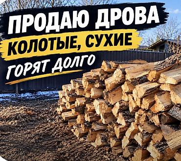 Отун: Отун — 1