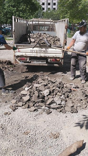 живой корм: Вывоз мусора вывоз вывоз мусора вывоз мусора вывоз. Вывоз мусора вывоз — 1