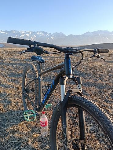 Горные велосипеды: Горный велосипед, Giant, Рама M (156 - 178 см), Алюминий, Б/у — 5