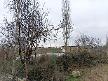 Torpaq sahələrinin satışı: 34 sot, Tikinti, Maklerlər narahat etməsin, Kupça (Çıxarış) — 5