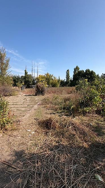 дом и сад: 3 комнаты, 50 м², 8 соток, Шопоков, Агентство недвижимости — 4