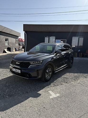 1: Kia Sorento: 2021 г., 1.6 л, Автомат, Гибрид, Кроссовер — 3