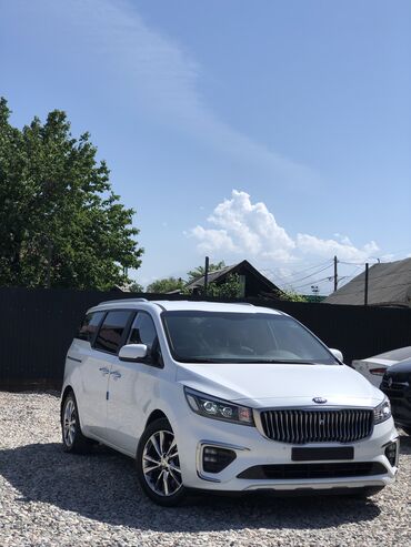 накладки хром: Kia Carnival: 2018 г., 2.2 л, Автомат, Дизель, Вэн/Минивэн