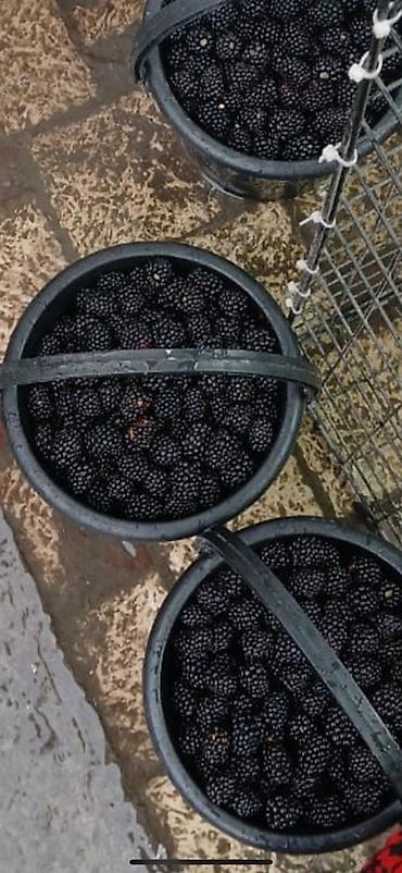 Продукты питания: Ежевика В розницу — 1