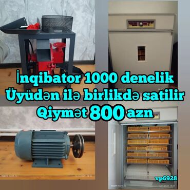 İnkubatorlar: 1100 yumurta, Bütün növ quşlaq üçün