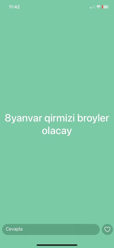 sesar quşu: Kim istəsə indiden yazılsın