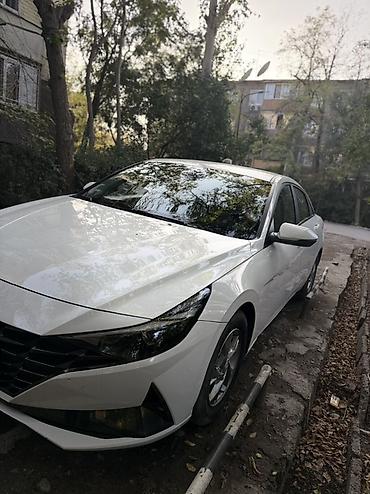 Hyundai: Hyundai Avante: 2020 г., 1.6 л, Бензин, Седан — 4