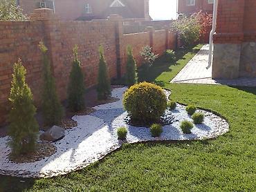 Газон: Газон и Автополив жасайбыз баасы келишим турдо болот! at lalafo.kg — 17 Газон: Газон и Автополив жасайбыз баасы келишим турдо болот! — 17