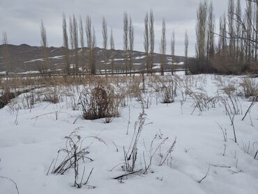 кудай берген участок: 30 соток, Курулуш