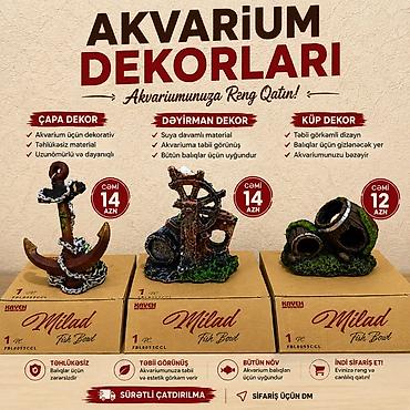akvarium qiymetleri: Akvarium Dekorları – akvariumunuza rəng və təbii görünüş qatın! Ünvan — 1