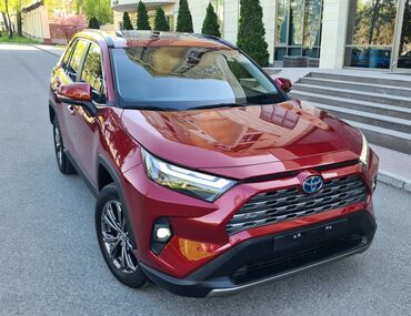 Lexus: Toyota RAV4: 2022 г., 2.5 л, Вариатор, Гибрид, Кроссовер