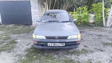 Toyota: Toyota Corolla: 1997 г., 1.5 л, Автомат, Бензин