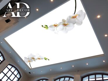 Натяжной потолок: Натяжной потолок 3D потолки, Глянцевое, Матовое Гарантия, Бесплатный замер, Бесплатная консультация — 12