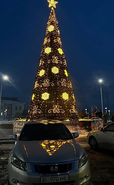 2009: Honda Accord: 2009 г., Автомат, Бензин, Седан — 3