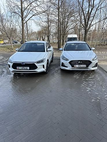 Аренда другого электротранпорта: Сдаю в аренду — 1